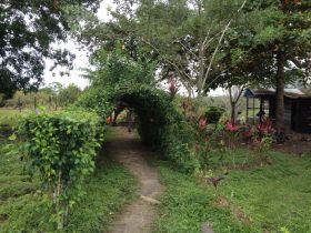 rustic farm home, Cayo District, Belize – Best Places In The World To Retire – International Living